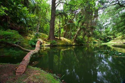 Furnas Full-day With Lunch Included