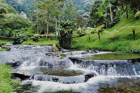 Viagem de um dia a Santa Rosa de Cabal e Hot Springs