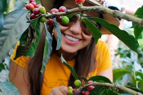 Autentisk kaffegårdsupplevelse från Bogota • Privat rundtur • 7 timmar