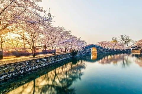 Privétransfer tussen Wuxi Yuantouzhu Scenic Spot en City Hotel