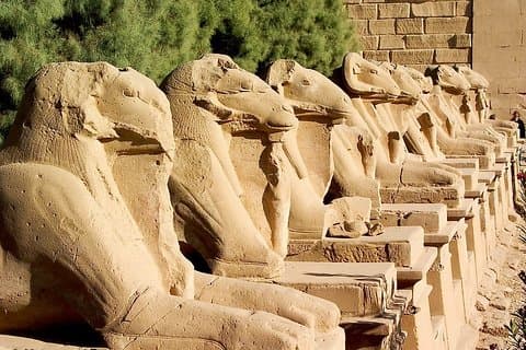 Excursão privada no Templo de Karnak e Luxor (East Luxor)