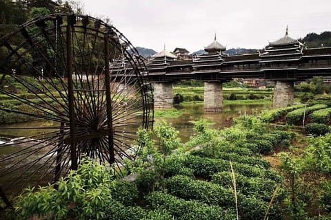 9 Days Private Self-guided Tour to Guizhou with Driver