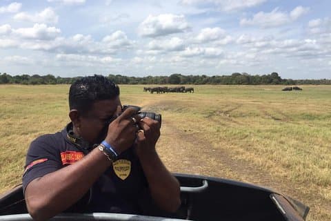 Yala National Park Jeepsafari van een hele dag met lunch