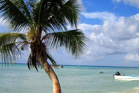 “Saona Island Tour por Catamarã e Speedboat – Punta Cana”