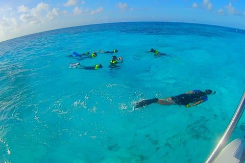 Coral Reef Private Snorkel tour out to John Pennekamp Coral Reef State Park