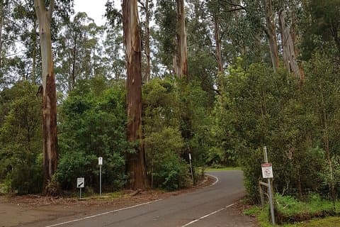 Ganztägige Dandenong Ranges Tour mit Abholung von Melbourne