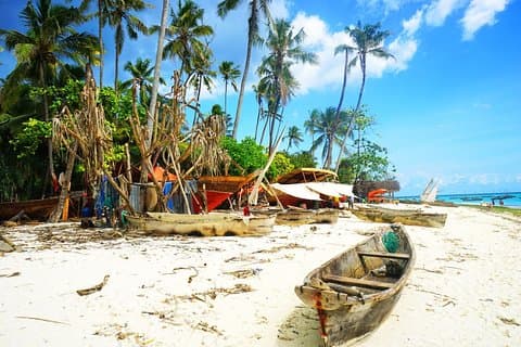 Zanzibar Pure Passie