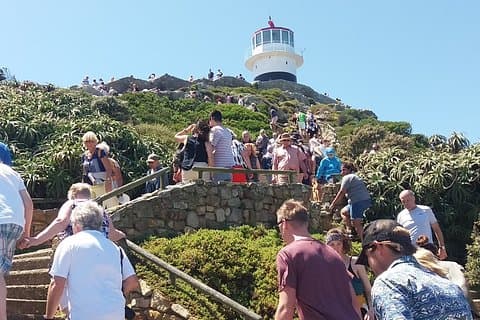 Tour condiviso a Cape of Good Hope Penguins Chapman's Peak da Cape Town intera giornata
