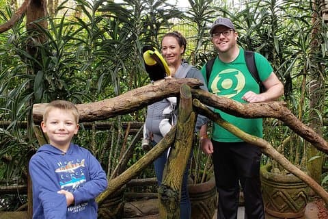 Poas Volcano & La Paz Waterfalls Gardens. Private Tour