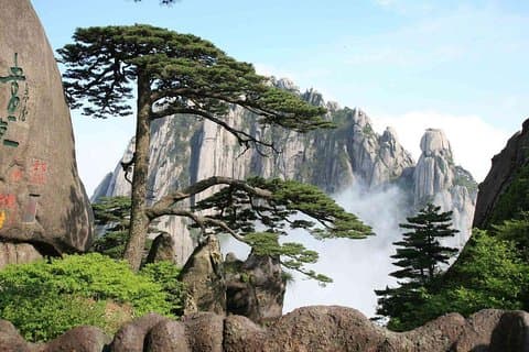 Tour panoramico privato di Shanghai di 4 giorni dal Monte Huangshan