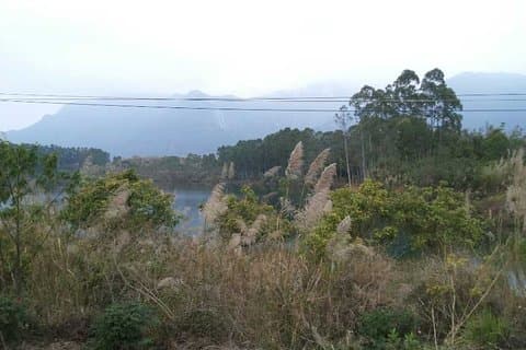 Excursión privada de un día a las aguas termales del monte Nankun desde Guangzhou