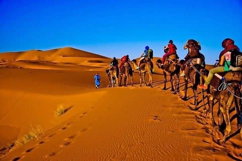 2Days Share Tour From Fes To Marrakech Via Sahara Desert Morocco
