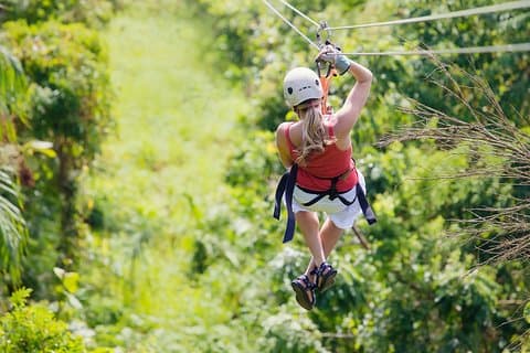 Tour en Canopy y Tour en barco por el Canal Tortuguero. Excursión en tierra desde Limón