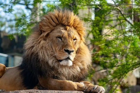 Oversigt over Oliwa Zoo Gdansk og privat transport