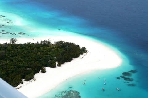 Half-Day Dolphin & Snorkeling Tour in Mnemba Island Zanzibar