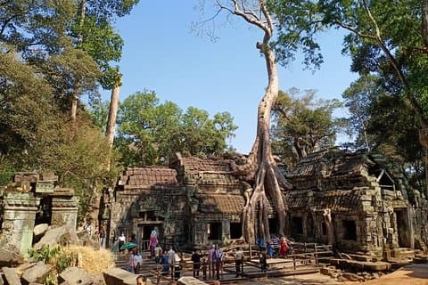 Privétour van een halve dag: Tomb Raider & Banteay Kdei-tempel