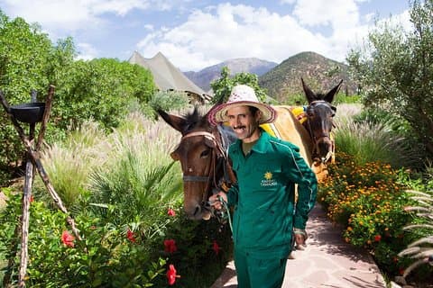 Marrakech: experiencia de la cultura bereber y visita a las montañas del Atlas