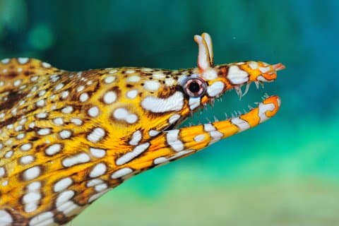 Shanghai Aquarium Xintiandi en Jing'an privétour van een hele dag