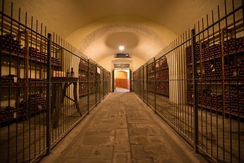 Expérience Wine Tour