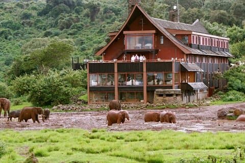 Safari privé de 2 jours au parc national d'Aberdares