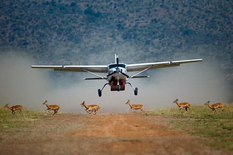 3-Day Masai Mara Private Flying Safari with 4x4 Game Drives