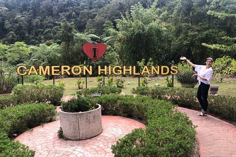 2-daagse Cameron Highlands, Batu Caves & Kuala Selangor Fireflies Tour