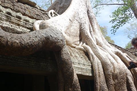 Um tour privado guiado de dia inteiro a Angkor Wat