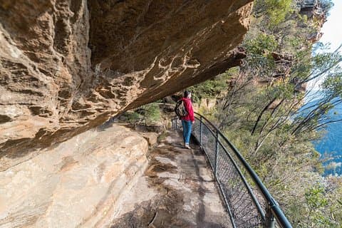 Blue Mountains Highlights et parc animalier