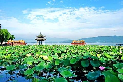 Transfert privé aller simple de l'aéroport de Shanghai Pudong vers la ville de Hangzhou