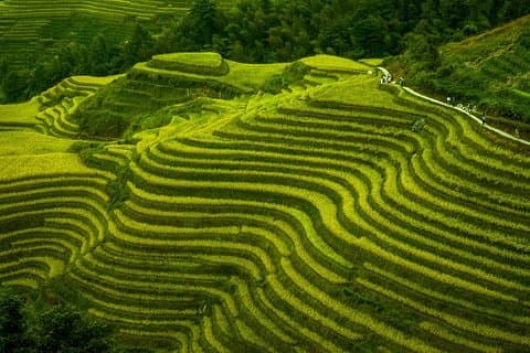Terraced Field Impression and Minority People’s Village Private Excursion Tour