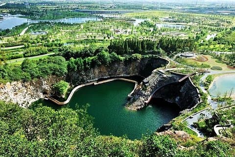 Shanghai Chengshan Botanic Gardens Round-Trip Transfer dalla zona della città