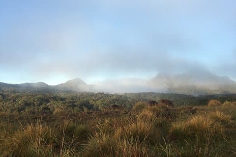 Private Tour in Horton Plains National Park & World's End Tour with Pick up