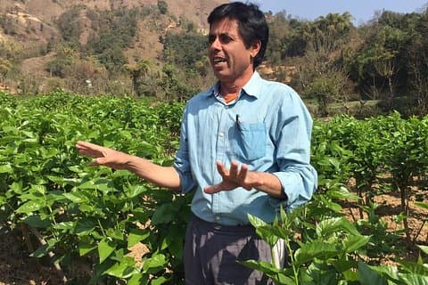 Tag der Seidenraupenfarm (Sericulture) mit einfachem Wandern in Pokhara