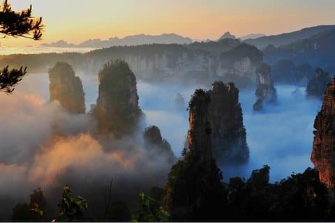 Visite privée d'une journée complète du parc national de Zhangjiajie avec déjeuner