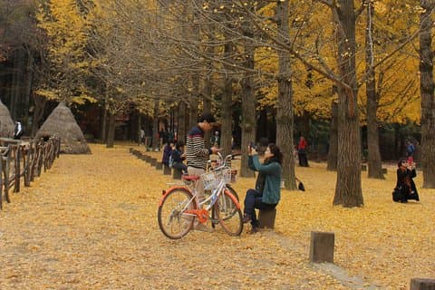 Privat dagstur til Nami Island