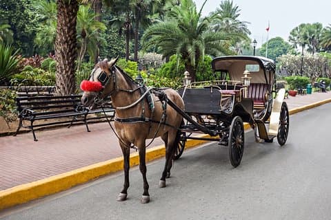 Tour a piedi e in carrozza del Cairo di 4 ore