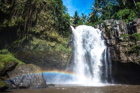 Meilleure visite de la cascade et de Kintamani