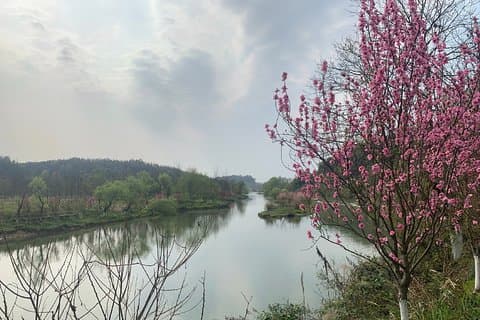 Private Day Tour to Taohuayuan National Park from Changsha