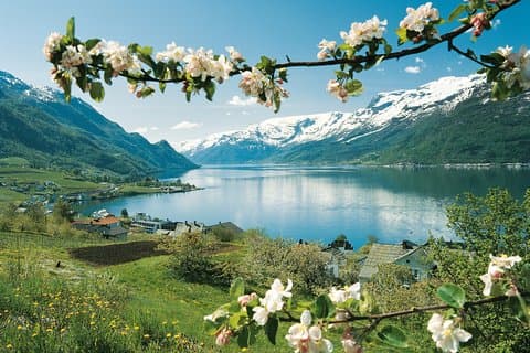 Bergen: Private Full-Day Waterfall day to Hardangerfjord & cruise