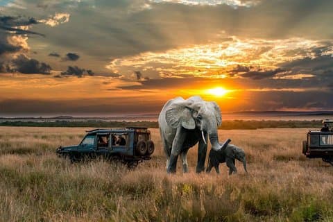 2 dager Northern Circuit Safari (Manyarasjøen og Ngorongoro)