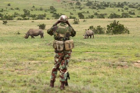 7 dagar Amboseli, Naivasha, Nakuru & Masai Mara äventyr Safari