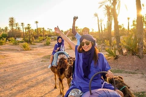 Kameelrit bij zonsondergang in het palmenbos van Marrakech