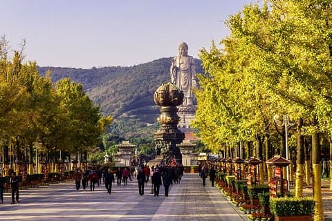 Wuxi privat dagstur med Lingshan Buddhist Scenic Spot och Taihu Yuantouzhu