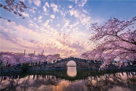 Wuxi privat flexibel dagstur från Shanghai med Bullet Train