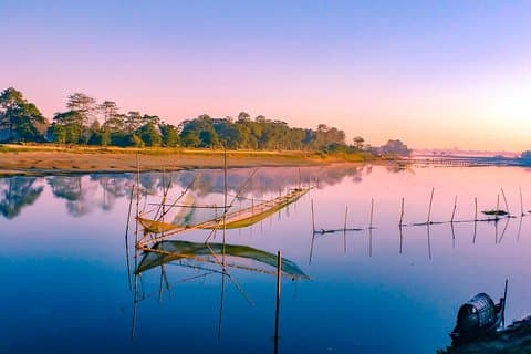 Privat Assam Tea Estate, Rain Forest og River Island Tour