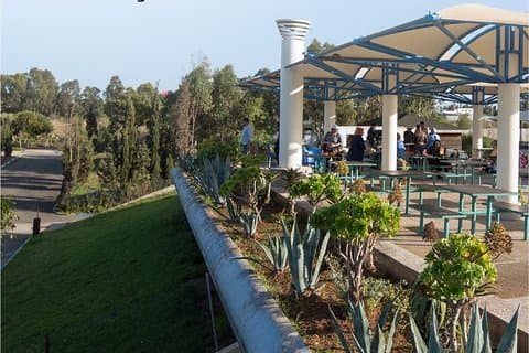 A day at VGK Village from Casablanca
