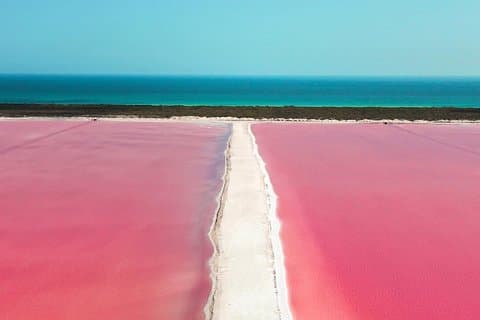 Upptäck det FANTASTISKA ROSA VATTNET i Karibien