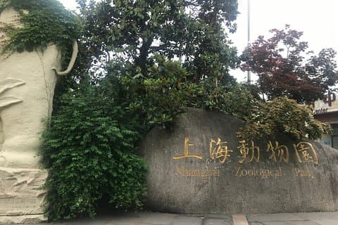 Private Tour of Shanghai Zoo and Cruise on Huangpu River with Dim sum Lunch