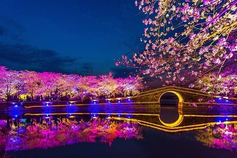 Private Night Tour of Wuxi Taihu Lake with Ferries Wheel and Nanchang Old Street