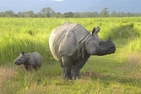 Assam & Arunachal De boeddhistische kloosters en tribale cultuurtour